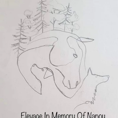 Elevage in memory of nanou